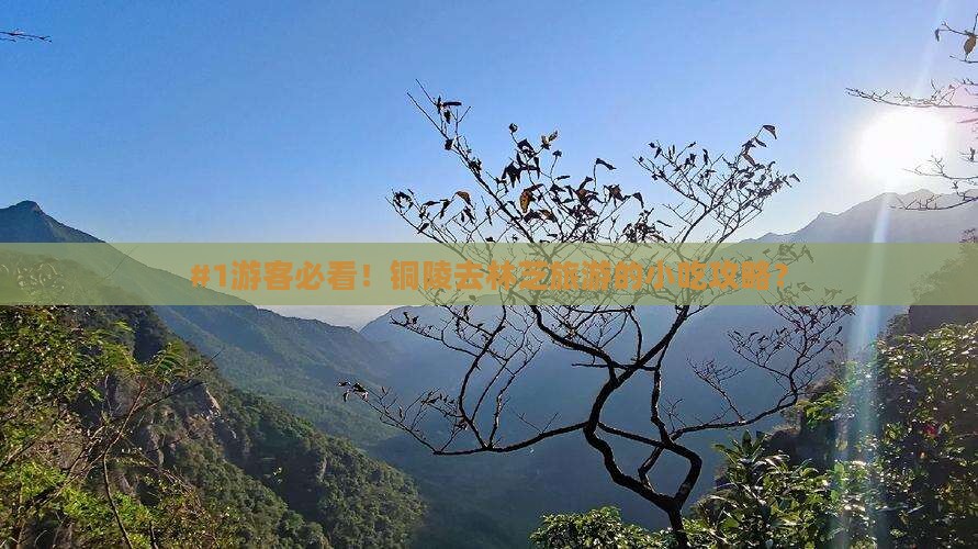 #1游客必看！铜陵去林芝旅游的小吃攻略？