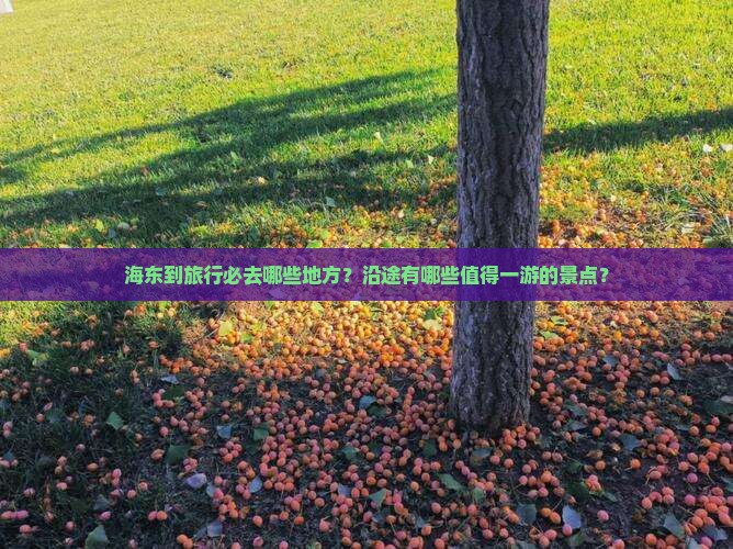 海东到旅行必去哪些地方？沿途有哪些值得一游的景点？