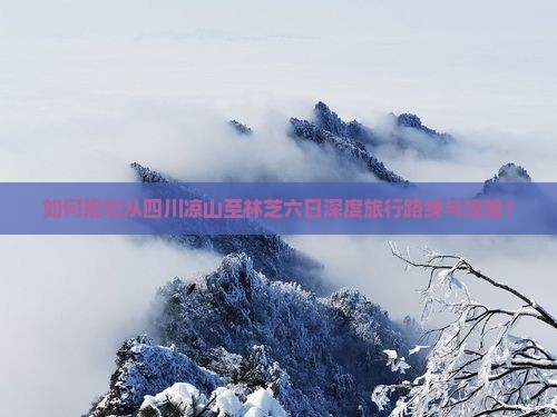 如何规划从四川凉山至林芝六日深度旅行路线与攻略？