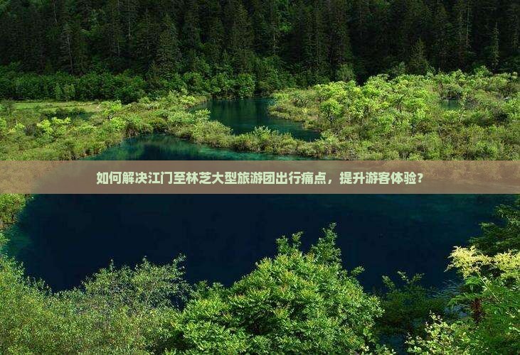 如何解决江门至林芝大型旅游团出行痛点，提升游客体验？