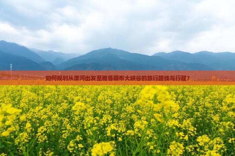 如何规划从漯河出发至雅鲁藏布大峡谷的旅行路线与行程？