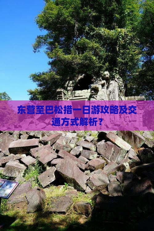 东营至巴松措一日游攻略及交通方式解析？