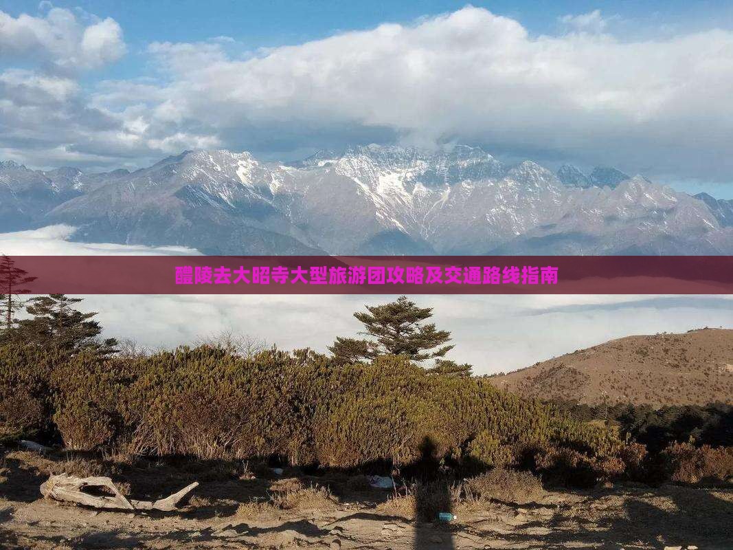 醴陵去大昭寺大型旅游团攻略及交通路线指南