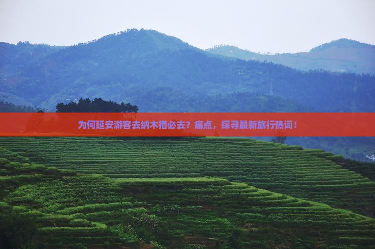 为何延安游客去纳木措必去？痛点，探寻最新旅行热词！