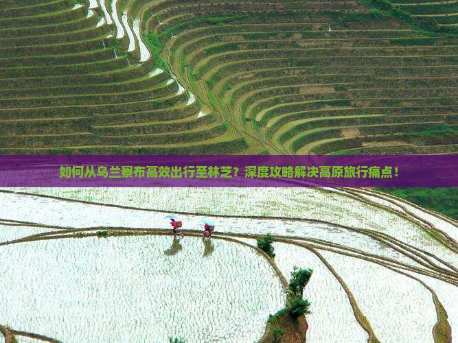 如何从乌兰察布高效出行至林芝？深度攻略解决高原旅行痛点！