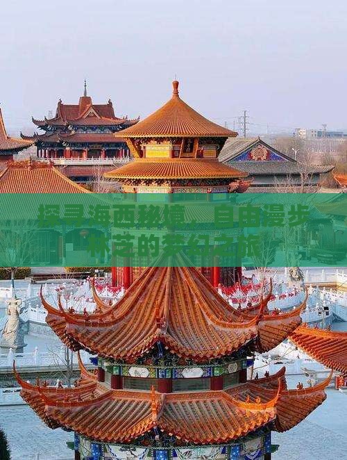 探寻海西秘境，自由漫步林芝的梦幻之旅