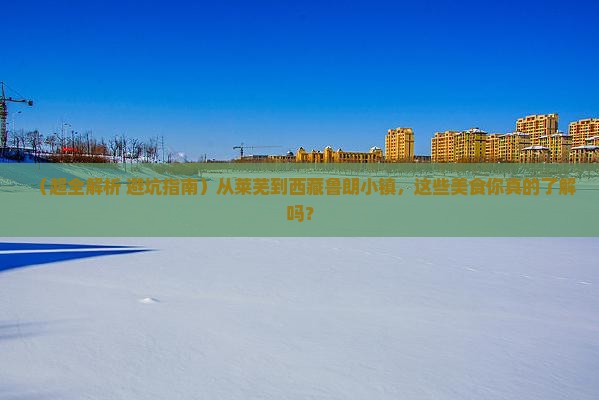 莱芜去西藏鲁朗小镇旅游小吃