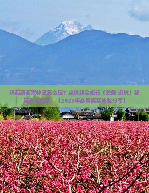 鸡西去西藏林芝必去地 鸡西去西藏林芝必去地