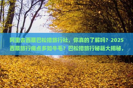 阿里去西藏巴松措旅行社