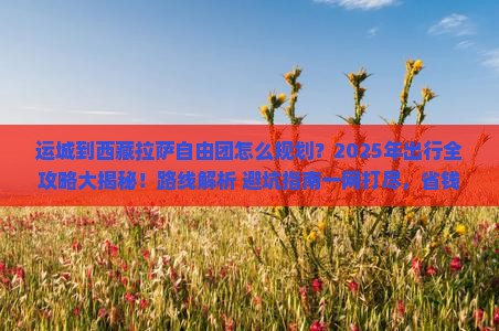 运城到西藏拉萨自由团