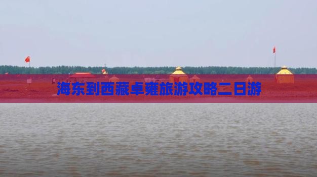 海东到西藏羊卓雍措二日游