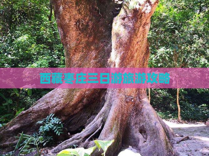 枣庄到西藏卡定沟三日游