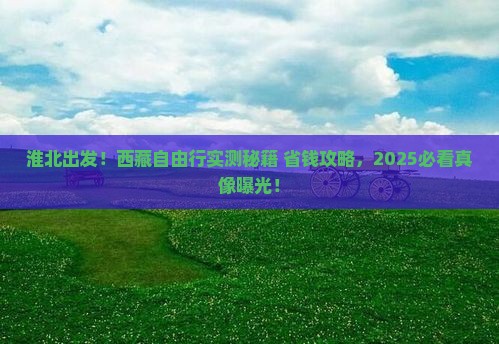 淮北去西藏自由团