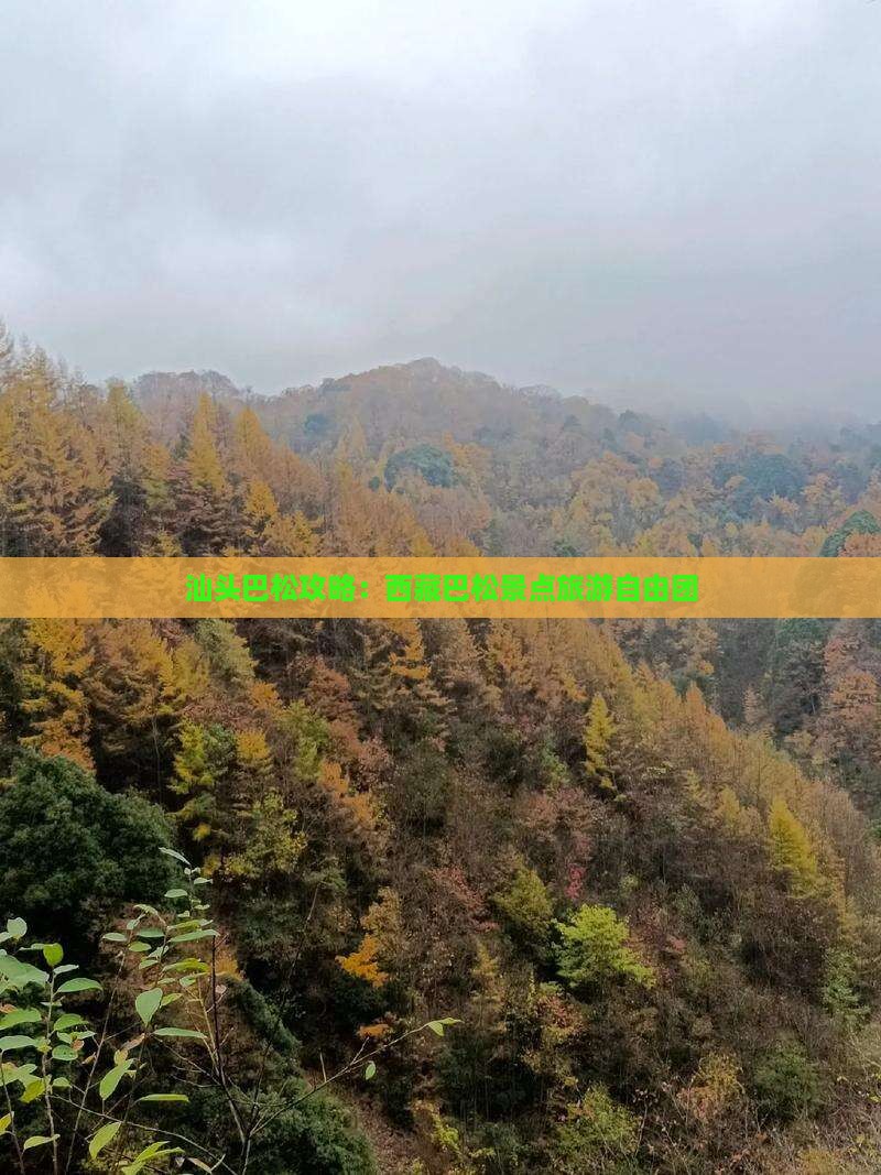 汕头去西藏巴松措自由团