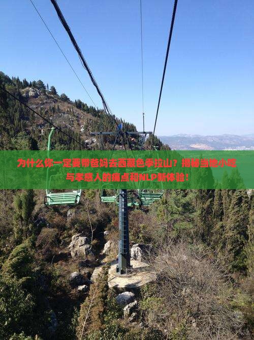 孝感到西藏色季拉山旅游小吃