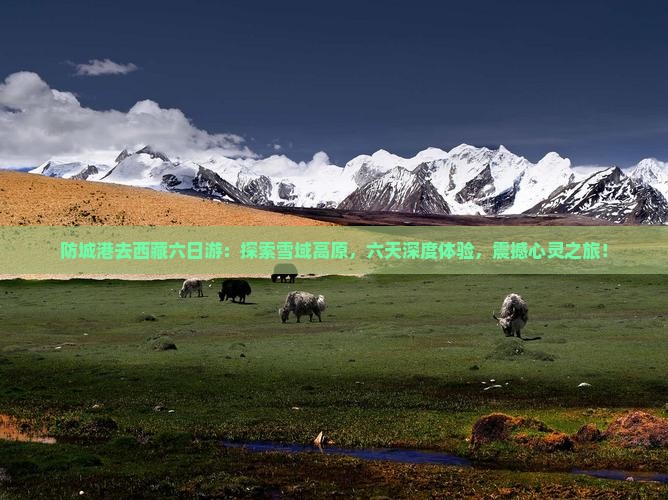 防城港去西藏六日游
