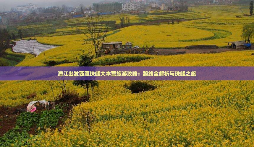 潜江去西藏珠峰大本营旅行社
