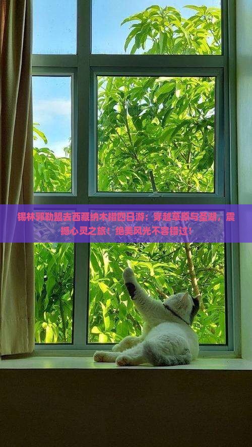 锡林郭勒盟去西藏纳木措四日游