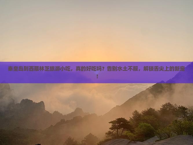秦皇岛到西藏林芝旅游小吃