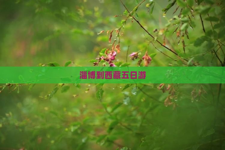淄博到西藏五日游