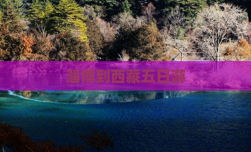 淄博到西藏五日游