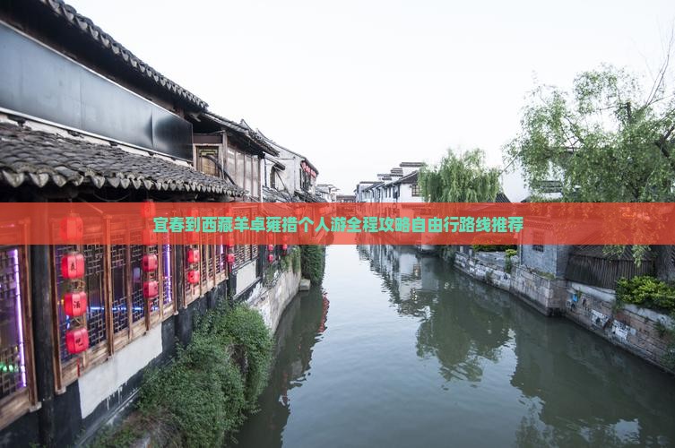 宜春到西藏羊卓雍措个人游