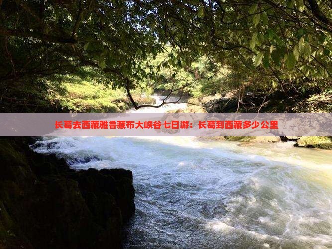 长葛去西藏雅鲁藏布大峡谷七日游
