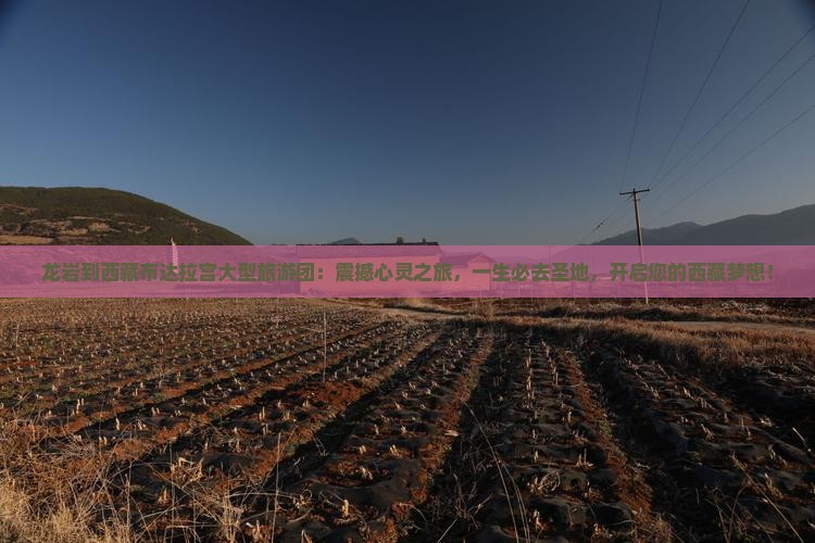 龙岩到西藏布达拉宫大型旅游团