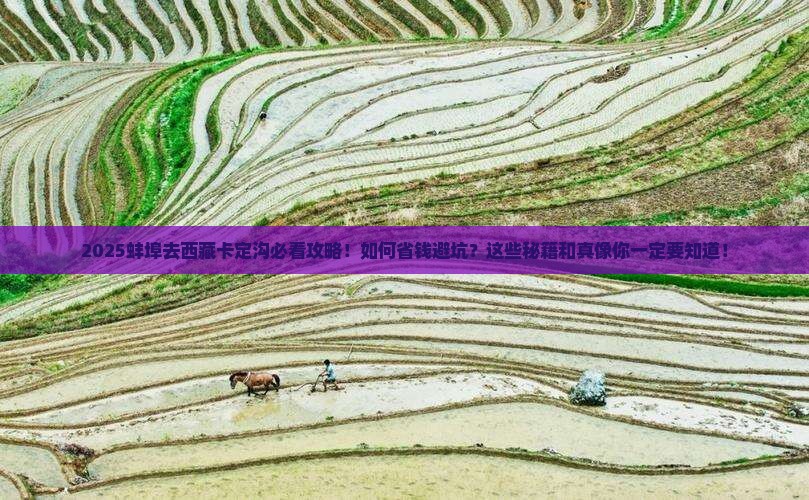 蚌埠去西藏卡定沟必去地