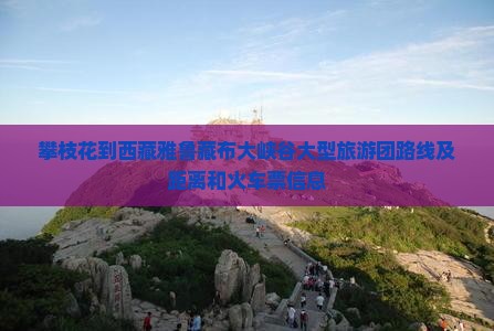 攀枝花到西藏雅鲁藏布大峡谷大型旅游团