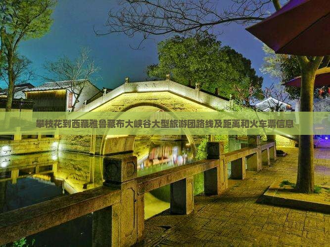 攀枝花到西藏雅鲁藏布大峡谷大型旅游团