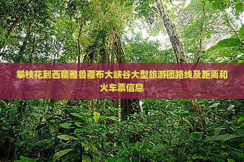 攀枝花到西藏雅鲁藏布大峡谷大型旅游团