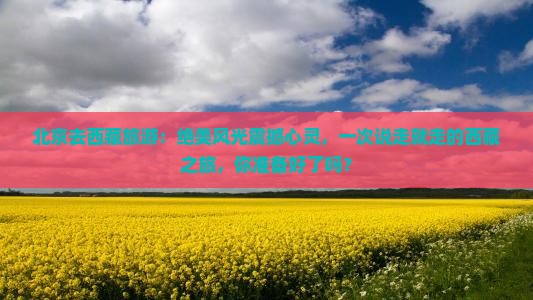 北京去西藏旅游