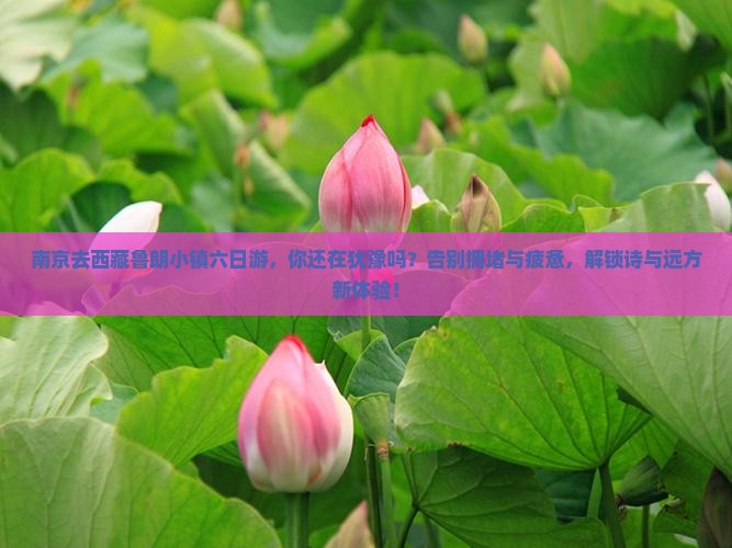 南京去西藏鲁朗小镇六日游