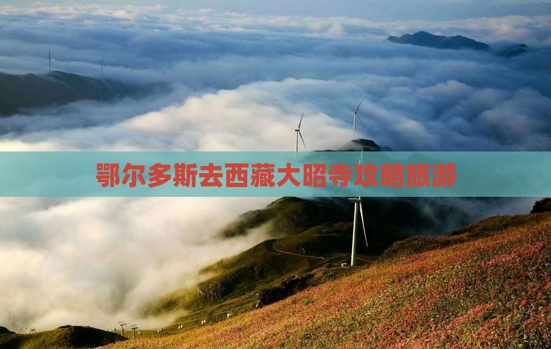 鄂尔多斯去西藏大昭寺门票
