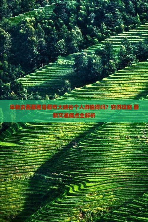 阜新去西藏雅鲁藏布大峡谷个人游