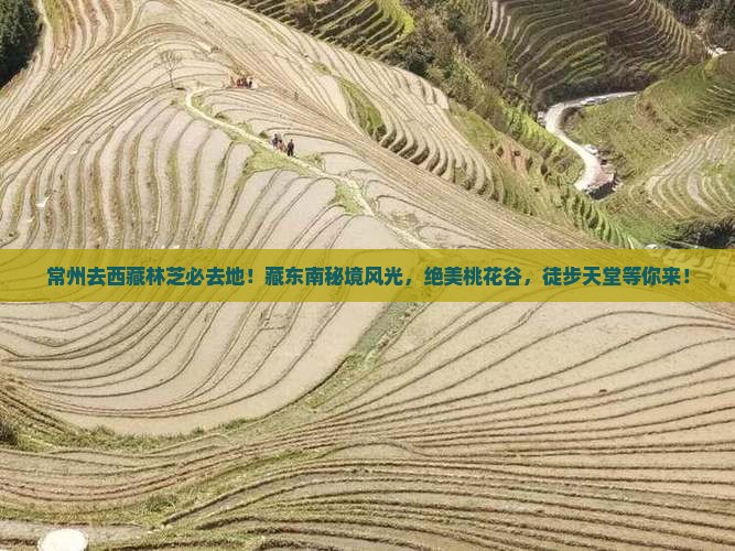 常州去西藏林芝必去地