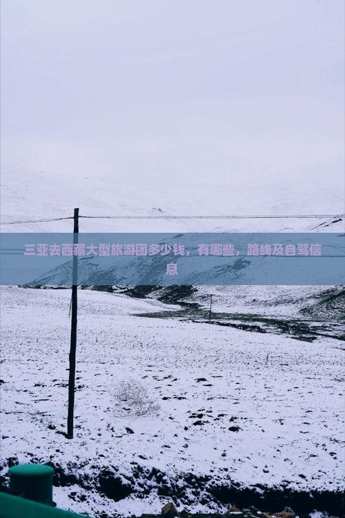 三亚去西藏大型旅游团