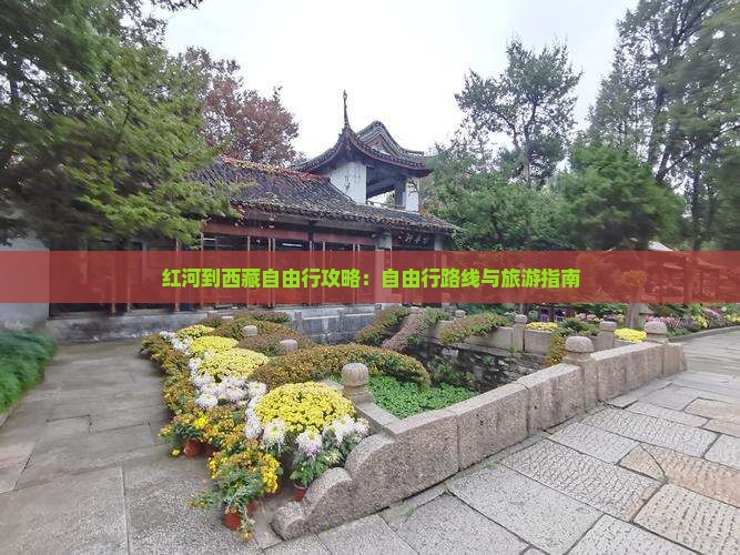 红河到西藏自由行