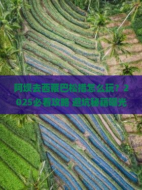 阿坝去西藏巴松措旅行社