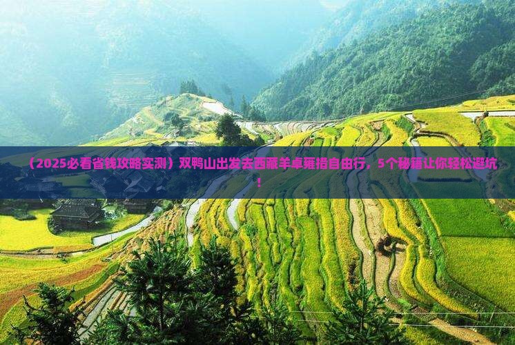 双鸭山去西藏羊卓雍措自由行