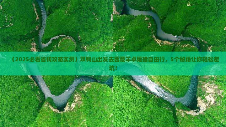 双鸭山去西藏羊卓雍措自由行