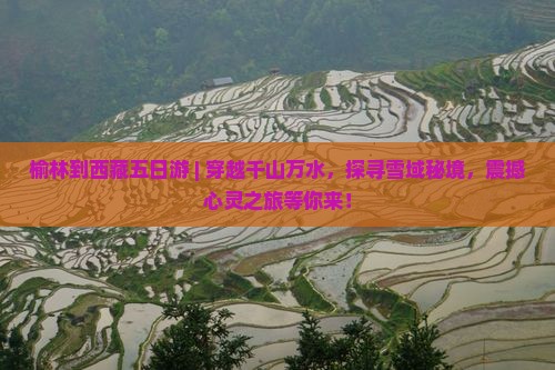 榆林到西藏五日游
