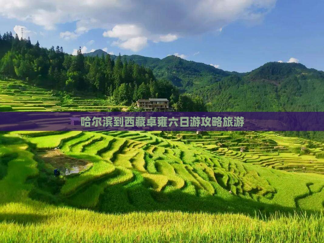 哈尔滨到西藏羊卓雍措六日游
