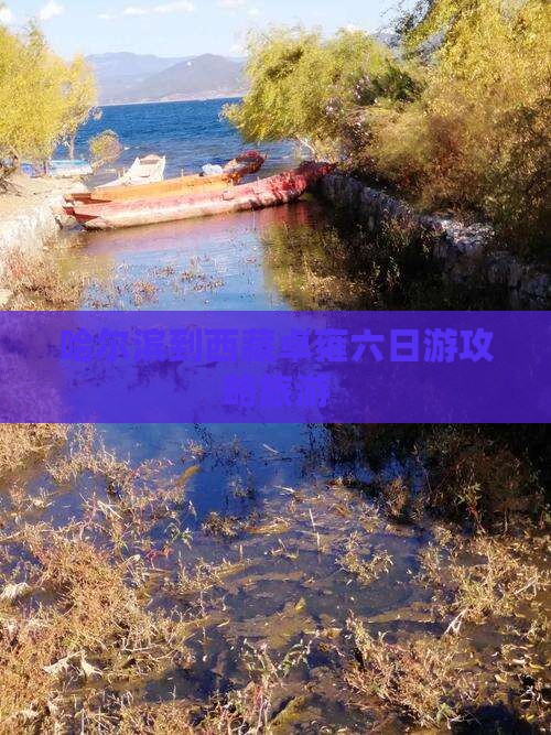 哈尔滨到西藏羊卓雍措六日游