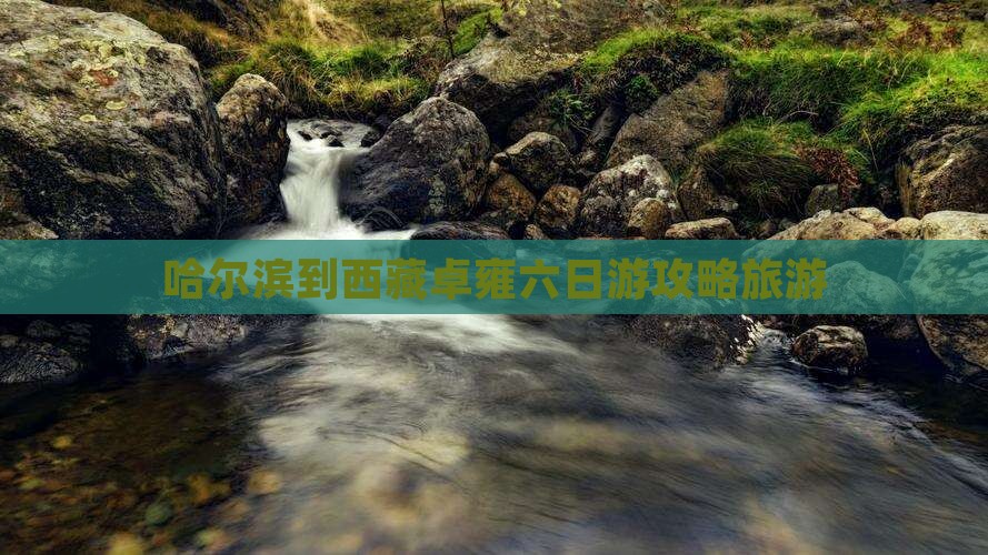 哈尔滨到西藏羊卓雍措六日游