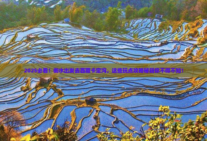 衡水到西藏卡定沟哪里玩