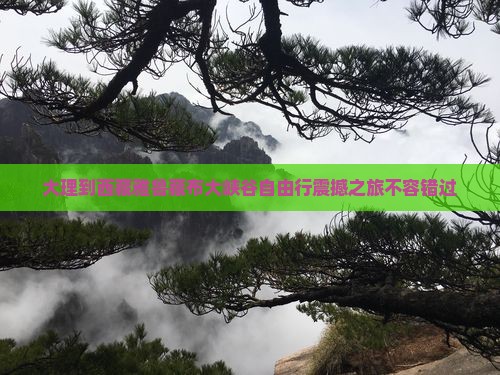大理到西藏雅鲁藏布大峡谷自由行