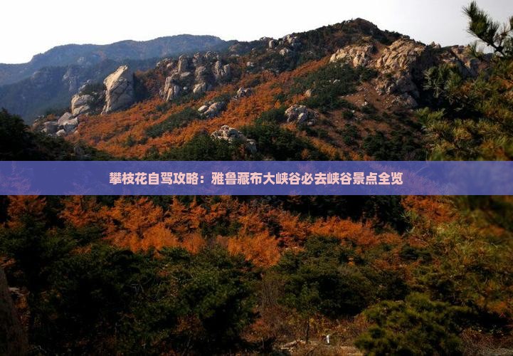 攀枝花到西藏雅鲁藏布大峡谷必去地