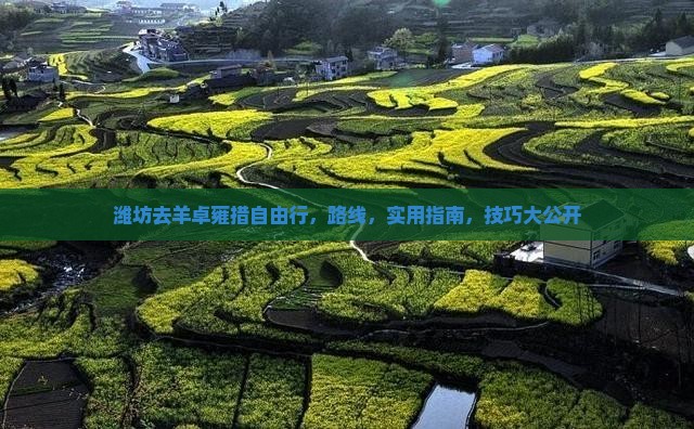 潍坊去西藏羊卓雍措自由行